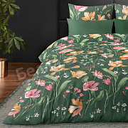 КПБ Веросса сатин-люкс Евро 30231/1+70321 Wild tulip нав.2-50*70+ 2-70*70