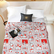 Романс Плед Велсофт 150*200 XH PW 22 в тубе