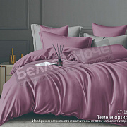 КПБ Luxor сатин гл/кр 1,5сп. диз. № 17-1610 Темная орхидея