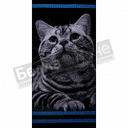 Авангард Полотенце махр. пестр. 70*140 С81-ЮА рис.3875 Котик 3Д