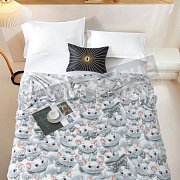 Романс Плед Велсофт 150*200 XH PW 11 в тубе