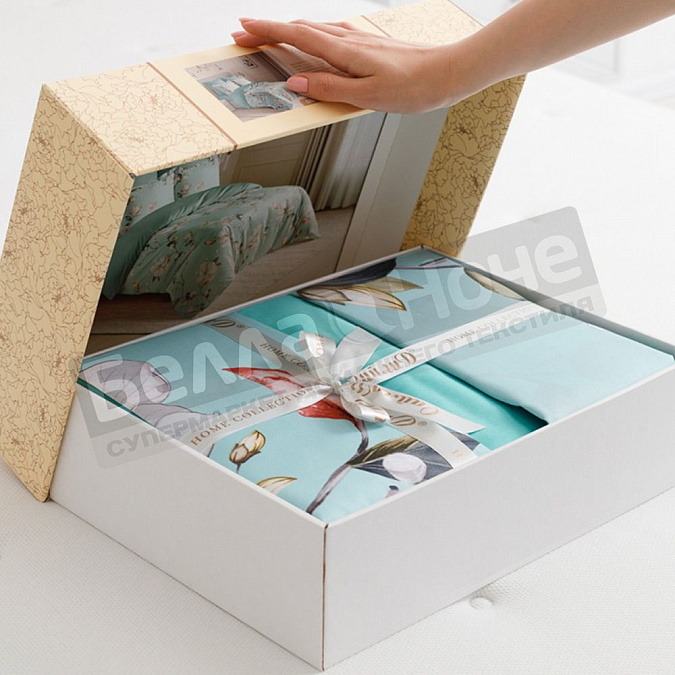 КПБ Сайлид сатин Дуэт BN -  1 в коробке