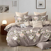 КПБ Сонлайт Зима-лето поплин Евро  6914