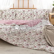 КПБ ШС ЭКОДОМ Персик бязь 1,5 сп. 9959-1