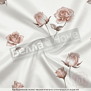 КПБ Luxor сатин Евро 241 A/B (N)