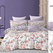 КПБ Luxor сатин Евро 22052024 A/B (N)