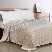 Клео Плед Бамбук микрофибра CL HOME 150*200 150/235-pbe/CL в кольце ПВХ