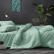 КПБ Luxor поплин гл/кр Дуэт диз.Ментол (N)