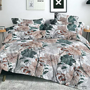 КПБ Клео Art Color полисатин Дуэт 4нав. 41/172-AC 