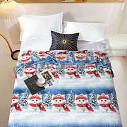 Романс Плед Велсофт 150*200 XH PW 21 в тубе