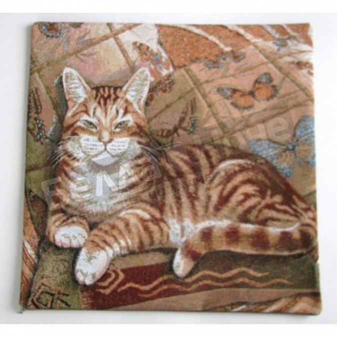 Детальная картинка товара «гобелен плюс наволочка 50*50 вася»