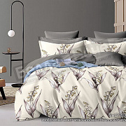 КПБ Luxor сатин 2,0 - Макси 10896 A/B (N)