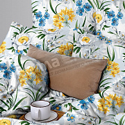 КПБ ХД поплин 1,5сп. 30244/1 Мечта нав.2-70*70