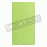 ПТ-401-05583 Болдрик 30*30 цв.13-0535 Салатовый