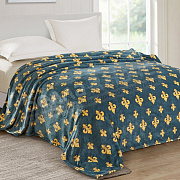 Клео Плед Велсофт 150*200 Калифорния 150/181- pf