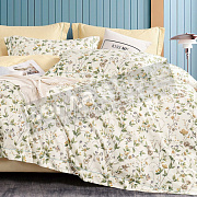 КПБ Сайлид сатин 2,0 - Макси BP -157