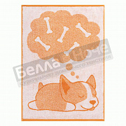 ПЦ-502-6315 Коги 50*70 цв.10000