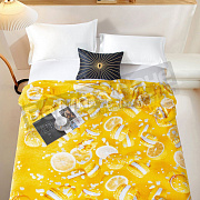 Романс Плед Велсофт 200*220 XH PW 10 в тубе