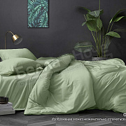 КПБ Luxor поплин гл/кр 1,5сп. диз.Фисташка (N)