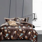 КПБ Сонлайт Зима-лето поплин Евро  6261